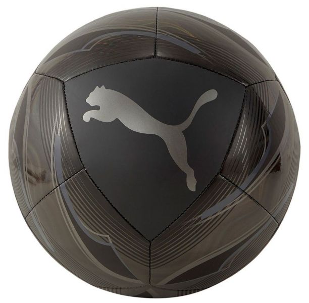Puma Icon Foto 1