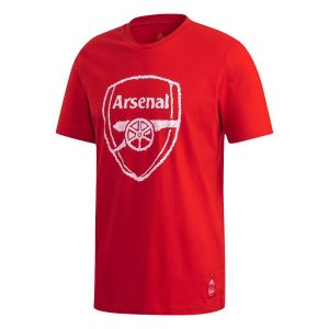 Equipación de fútbol Adidas Arsenal dna 20/21