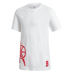 Equipación de fútbol Adidas Arsenal fc 20/21 júnior