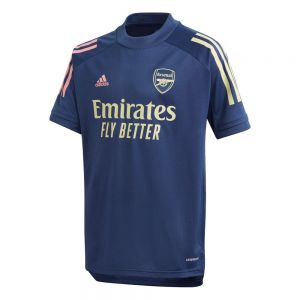 Equipación de fútbol Adidas Arsenal fc entrenamiento 20/21 júnior