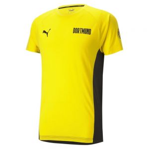 Equipación de fútbol Puma Borussia dortmund evostripe 20/21