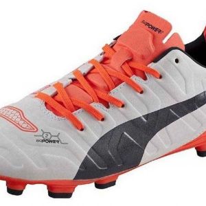 Puma Evopower 2.2 ag