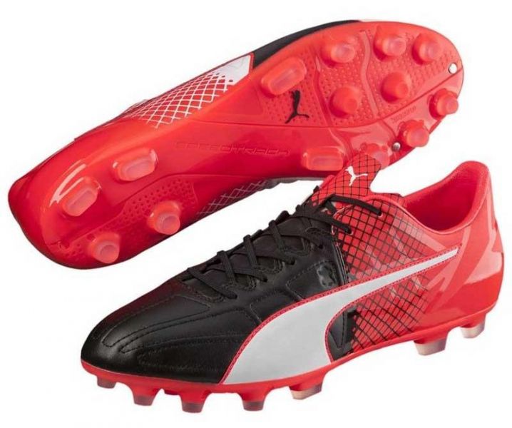 Puma Evospeed 1.5 Leather AG Foto 2