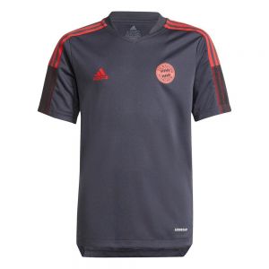 Adidas Fc bayern munich 21/22 entrenamiento camiseta júnior