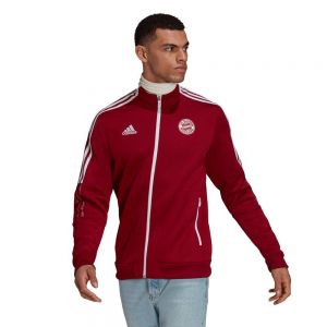 Equipación de fútbol Adidas Fc bayern munich 21/22 anthem chaqueta