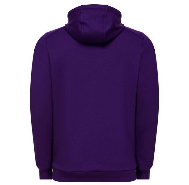 Le coq sportif  Sudadera AC Fiorentina Presentación 19/20 Foto 2