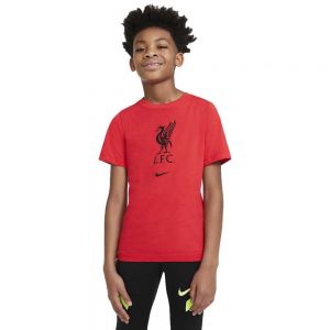 Equipación de fútbol Nike Camiseta Liverpool FC 20/21 Junior