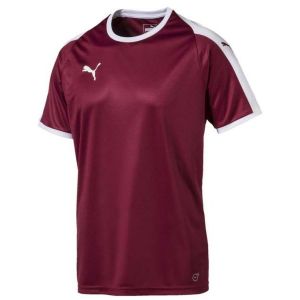 Equipación de fútbol Puma  Camiseta Manga Corta Liga