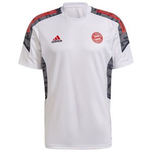 Adidas  Camiseta Manga Corta Entrenamiento FC Bayern Munich 21/22 EU