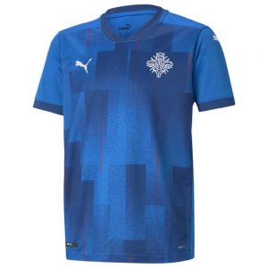 Equipación de fútbol Puma  Camiseta Islandia Primera Equipación 2020